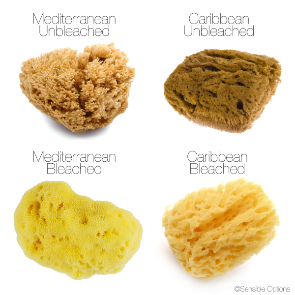 FacialCare Sea Sponges
