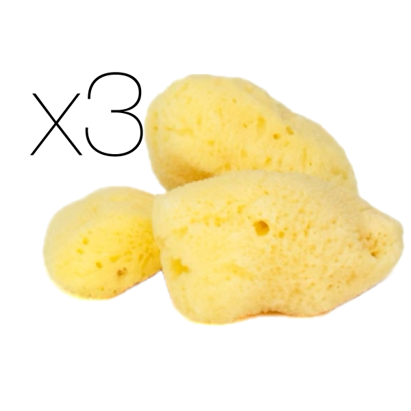 IntimateCare Sponges - 3x 5.5-6.5cm Bleached - Retail Packaging