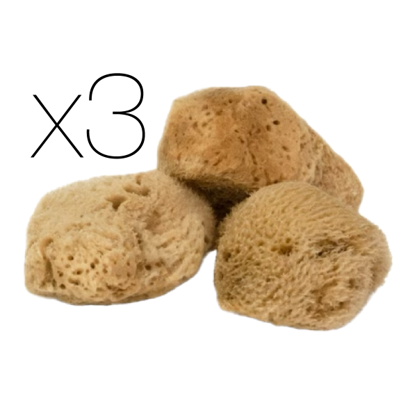 IntimateCare Sponges - 3x 5.5-6.5cm Unbleached - Retail Packaging
