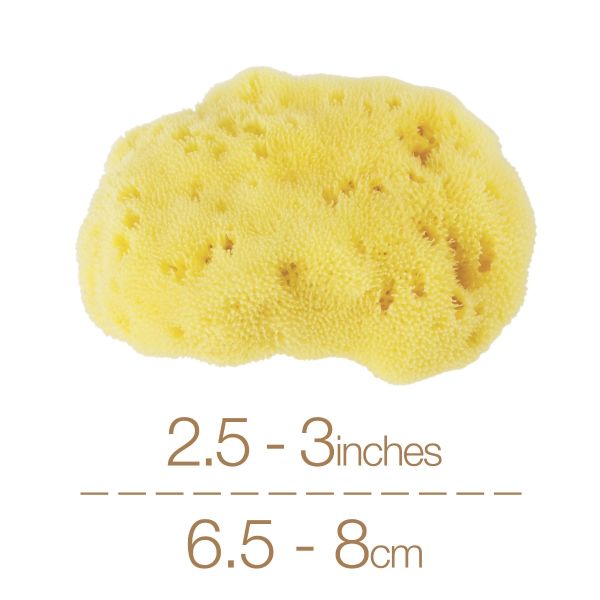 IntimateCare Sponges - 2x 6.5-8cm Bleached - Minimalist Packaging