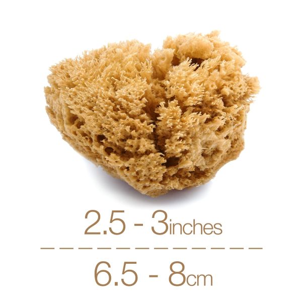 IntimateCare Sponges - 2x 6.5-8cm Unbleached - Minimalist Packaging