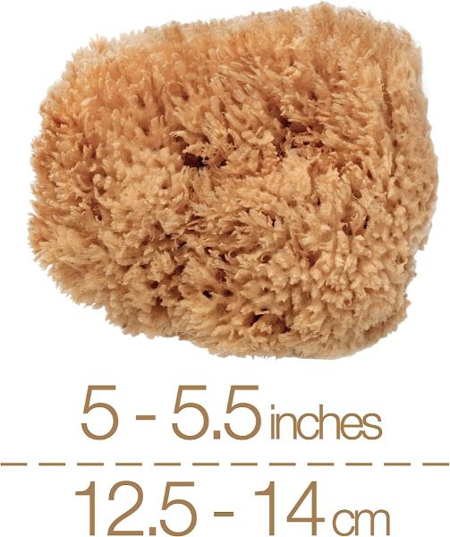 BodyCare Sea Sponge - 12.5-14cm - Minimalist Packaging