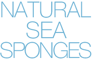 Natural Sea Sponges